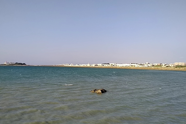 20191008_163741566.jpg