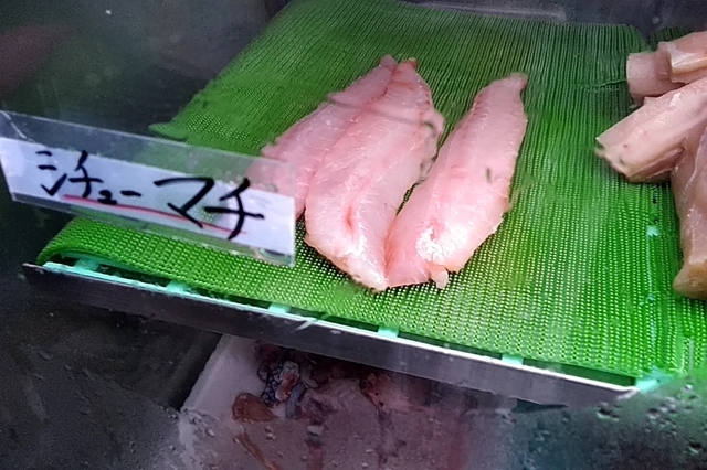 20191008_203435534.jpg