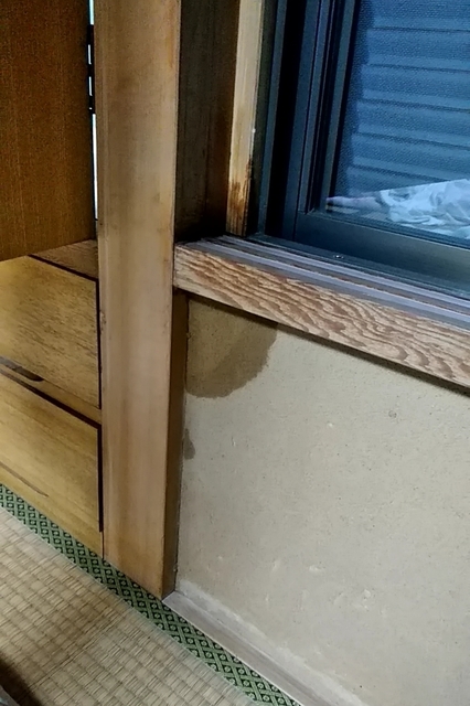 20191012_140444130.jpg