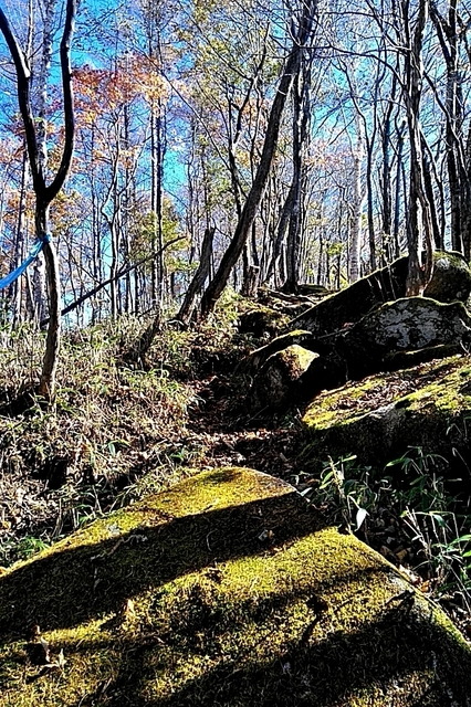 20191102_103941258.jpg