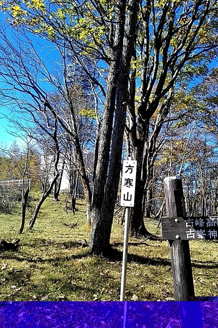 20191102_110954950.jpg