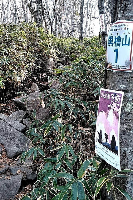20191104_095504027.jpg