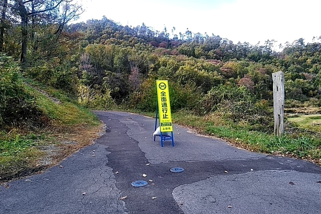 20191107_095200619.jpg