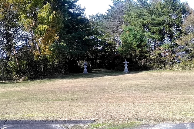 20191107_110824728.jpg
