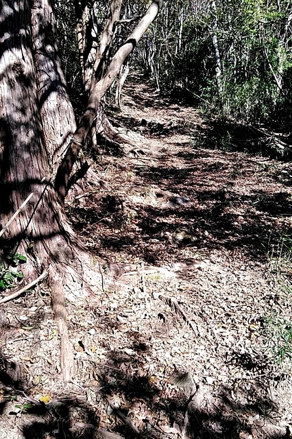 20191109_140341572.jpg