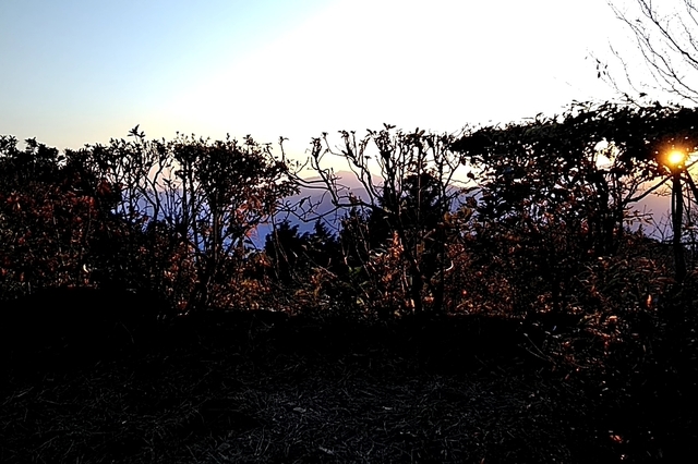 20191109_162047713.jpg