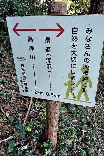 20191110_100112197.jpg