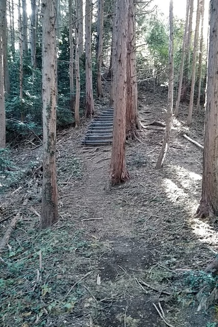 20191110_100247636.jpg