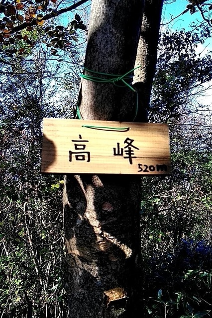 20191110_115607596.jpg
