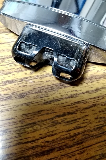 20191127_045704101.jpg