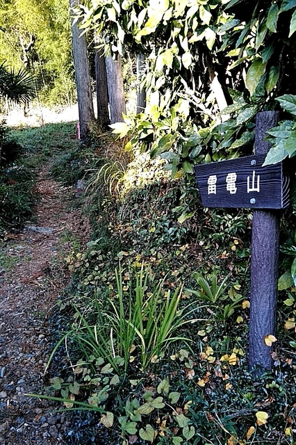 20191130_143550525.jpg