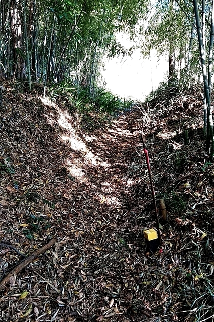 20191130_143632260.jpg