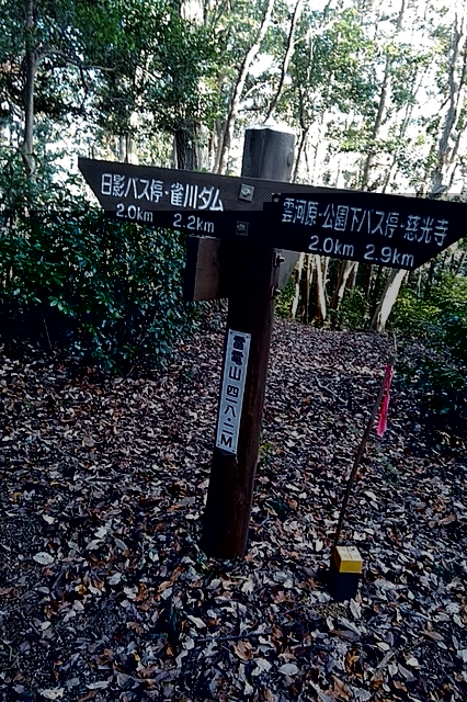 20191130_144857921.jpg
