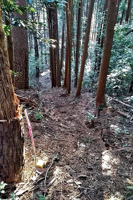 20191130_153605097.jpg