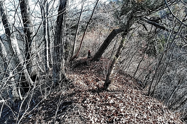 20191201_105226385.jpg