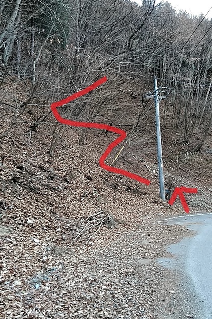 20191207_102720996.jpg