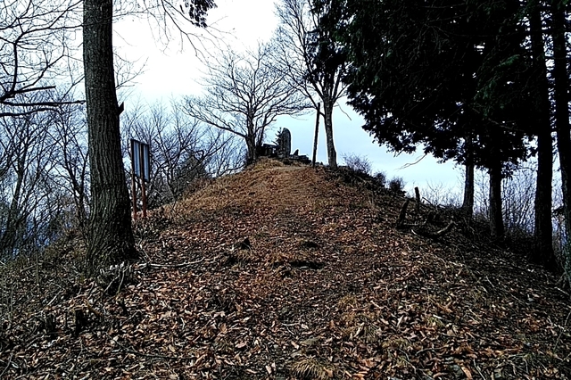 20191207_113407335.jpg