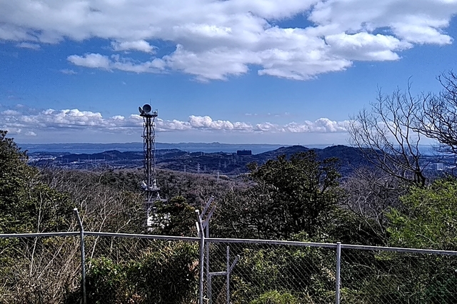 20200315_130914514.jpg