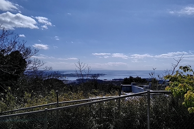 20200315_130926806.jpg