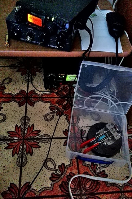 20200815_165051681.jpg
