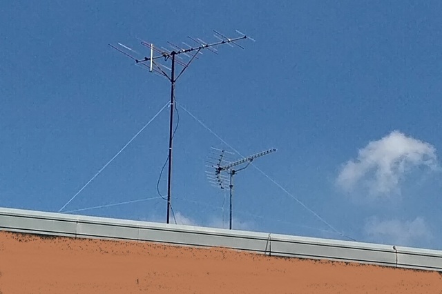 20200826_120935793.jpg
