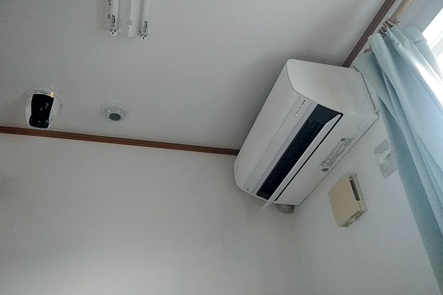 20200903_171347553.jpg