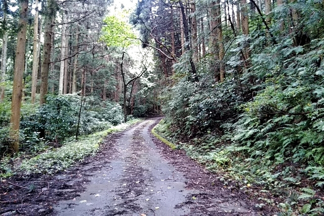 20200913_095501442.jpg