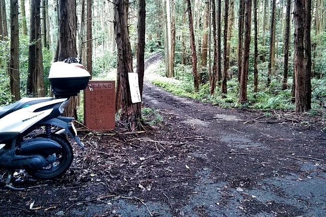 20200913_100106914.jpg