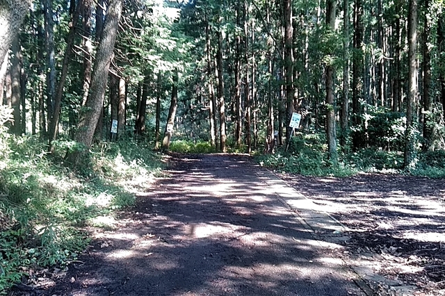 20200921_135316187.jpg