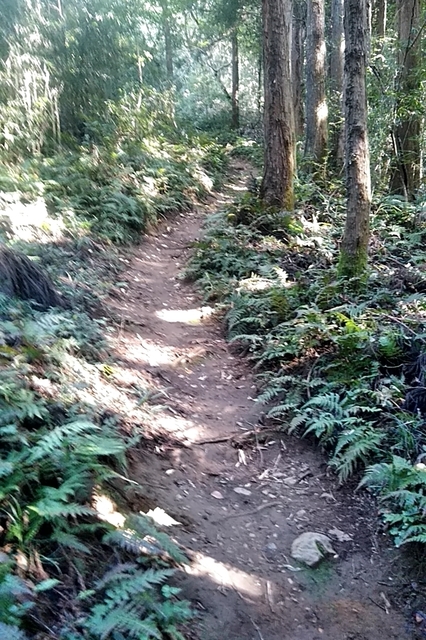20200921_135953192.jpg