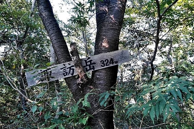 20200921_143525186.jpg