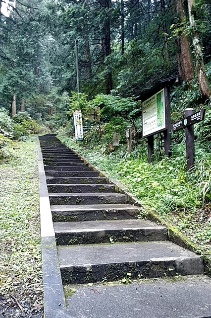 20200927_111916697.jpg