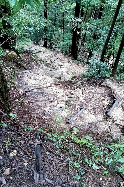 20200927_114902623.jpg