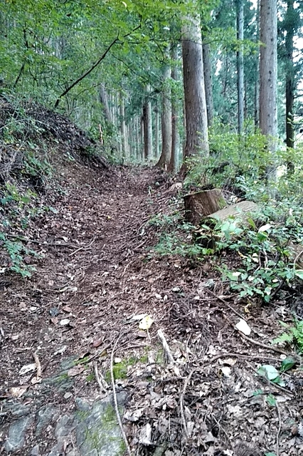 20201004_122732348.jpg