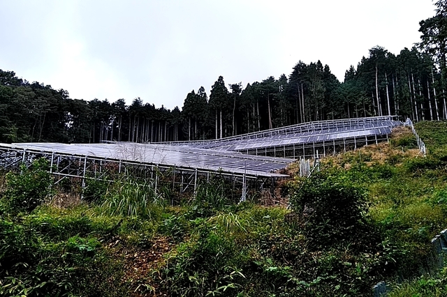 20201004_125342108.jpg