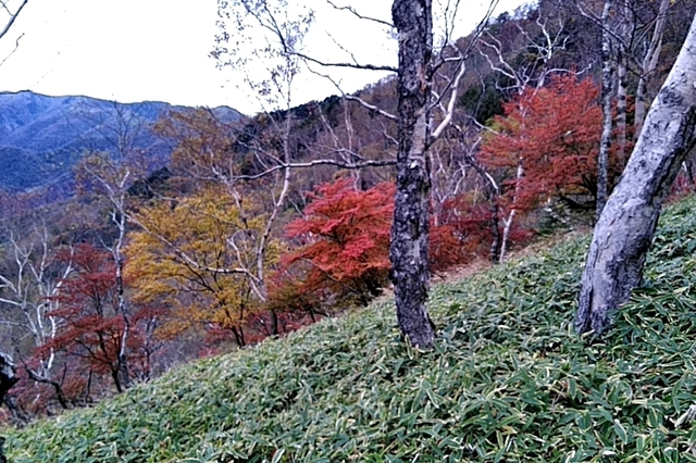 20201018_120727051.jpg
