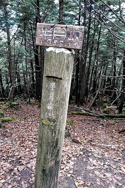 20201018_132713799.jpg
