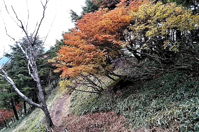 20201018_132912610.jpg