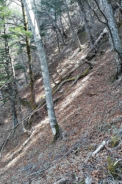 20210411_120220230.jpg