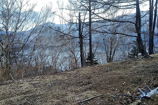 20210411_130816445.jpg