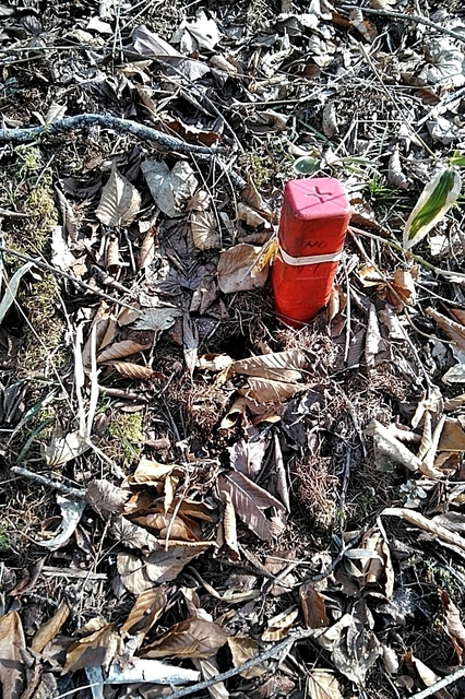 20210411_145937025.jpg