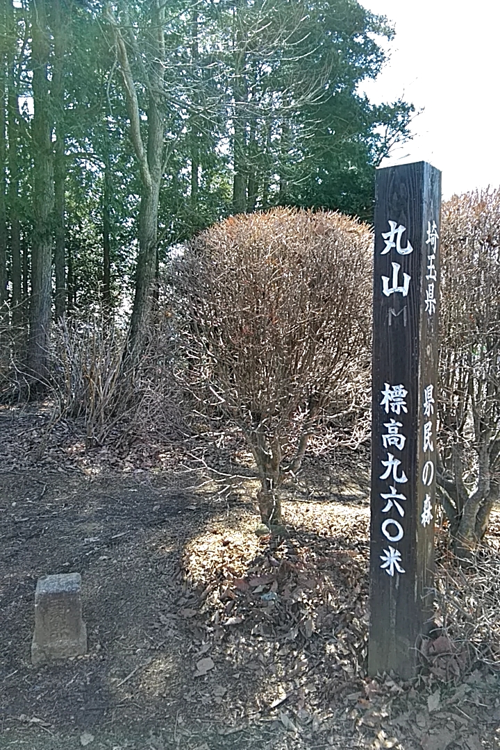 イメージ 5