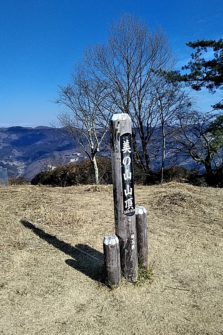 イメージ 3