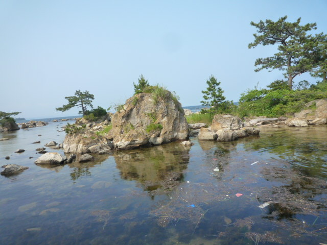 イメージ 1