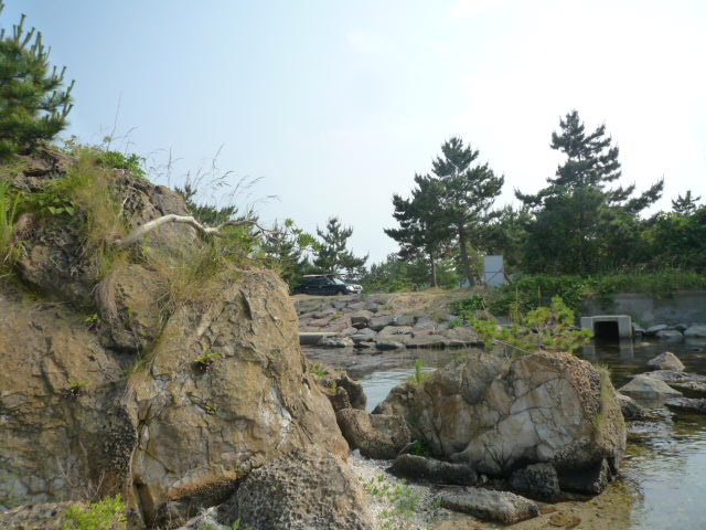 イメージ 2