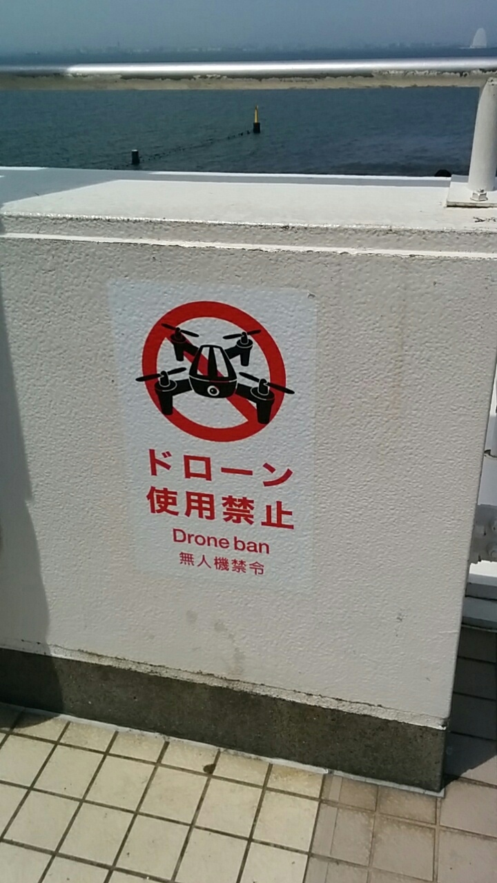 イメージ 7
