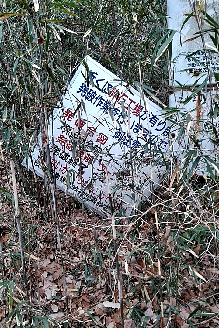 イメージ 2