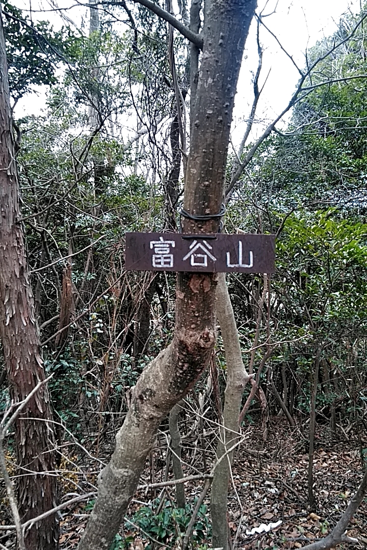イメージ 5