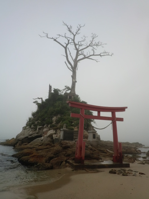 イメージ 6