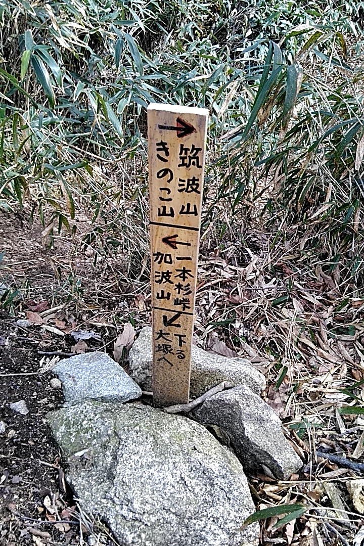 イメージ 7